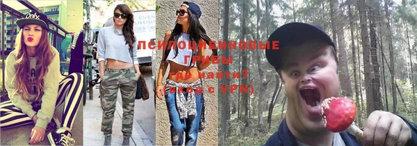 каннабис Коряжма
