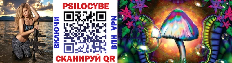 Псилоцибиновые грибы Psilocybine cubensis Нестеров